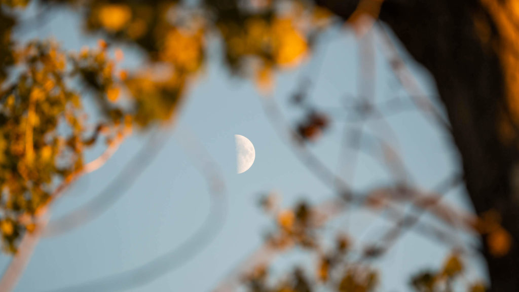 Capturing early fall colors with a super telephoto