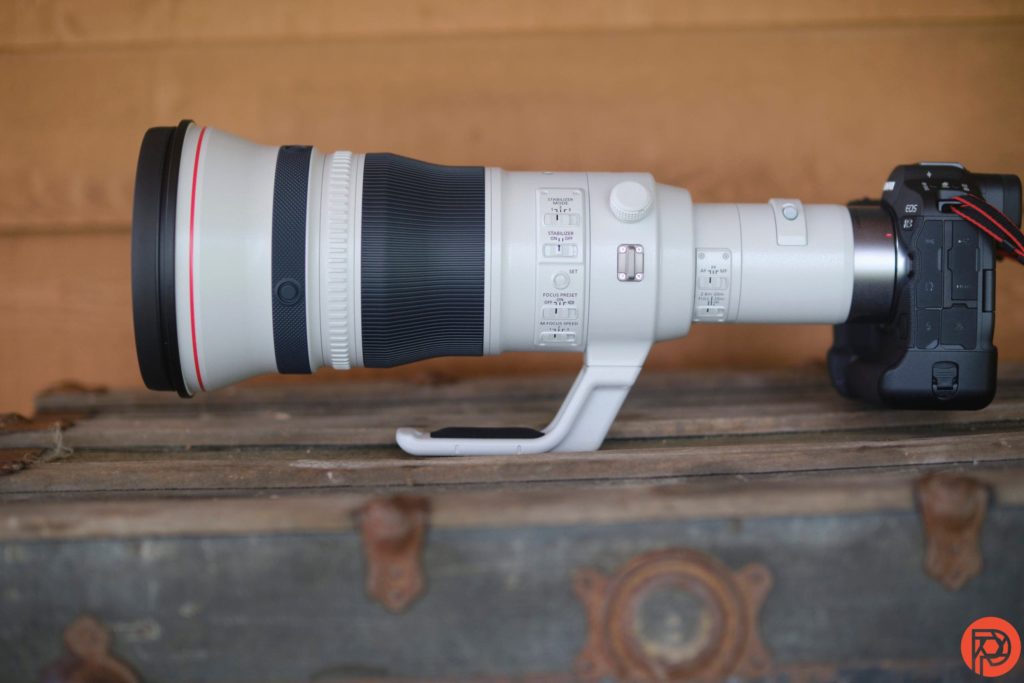 The Best Super Telephoto Lens Options for Canon Cameras