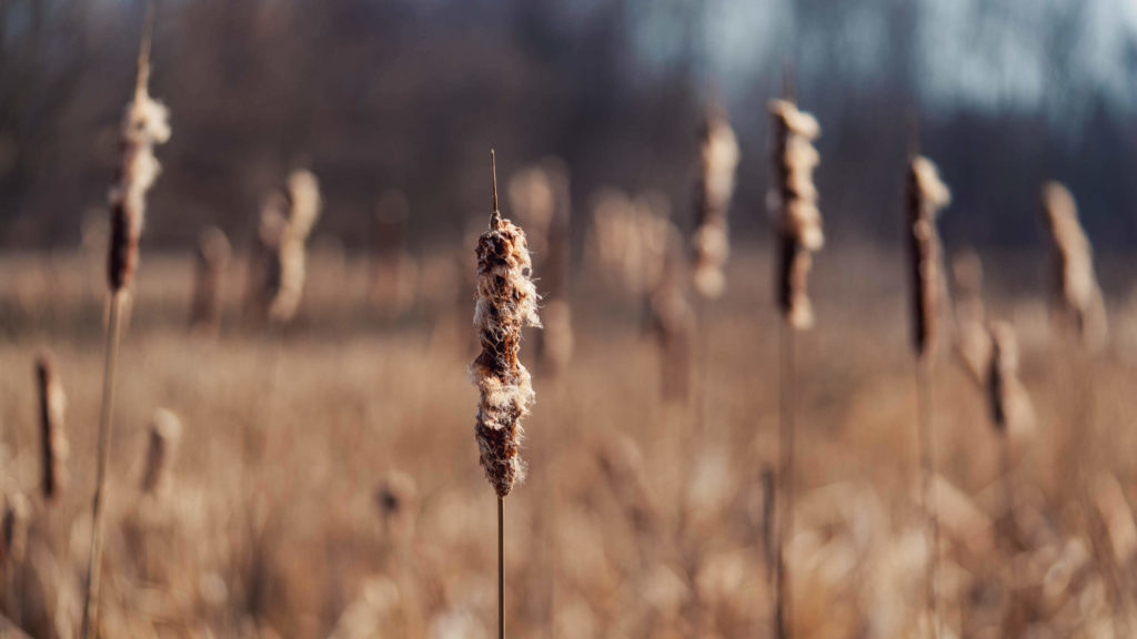 Six accessories you need for your fall photo adventure