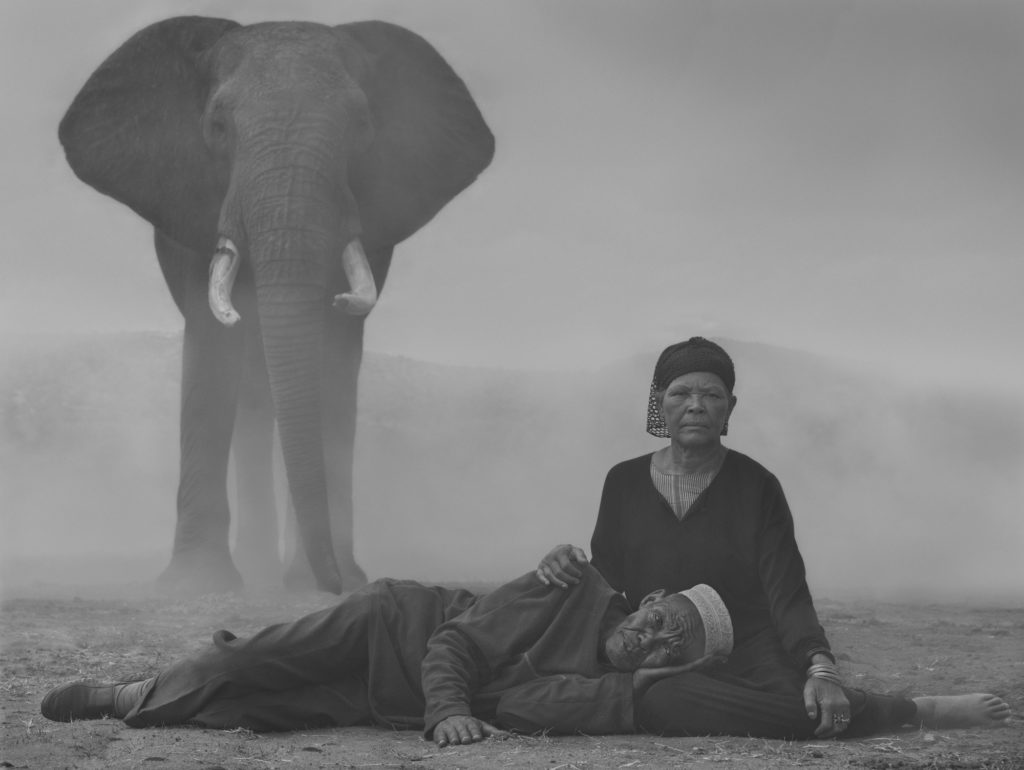 Nick Brandt and Jo-Anne McArthur On Photography and Creating Change for Animals