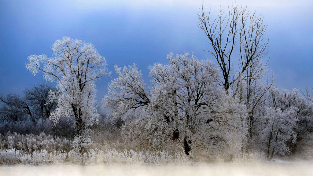 Shutter Notes: Terry Tinkess — Blue Crystal