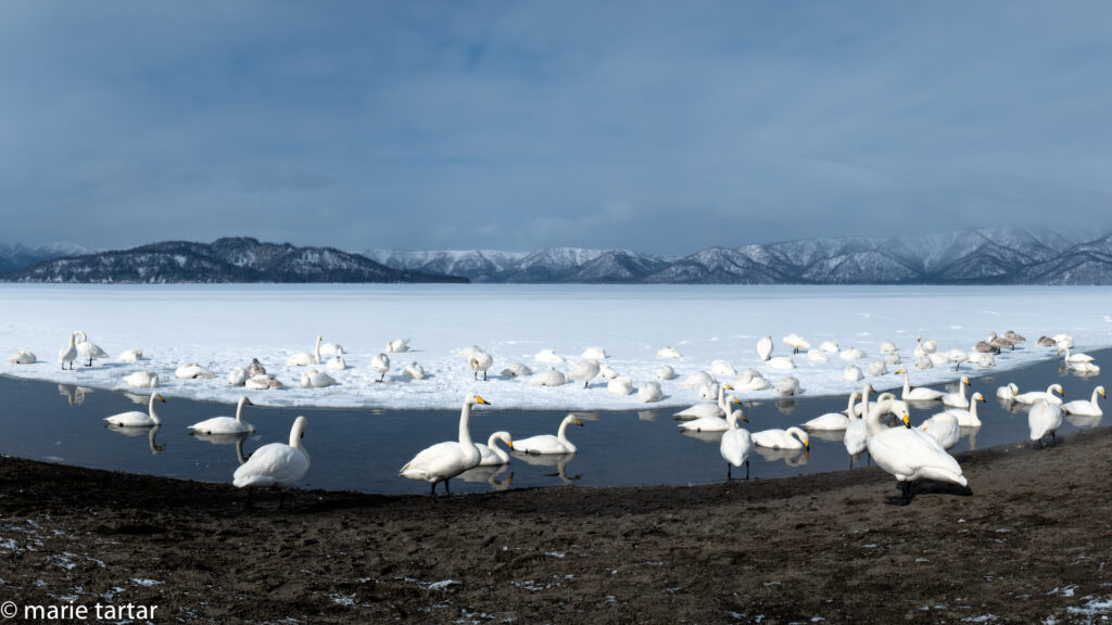 The Traveling Photographer in Japan: Lessons from Hokkaido –