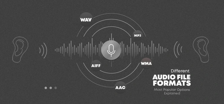 Different Audio File Formats: Most Popular Options Explained