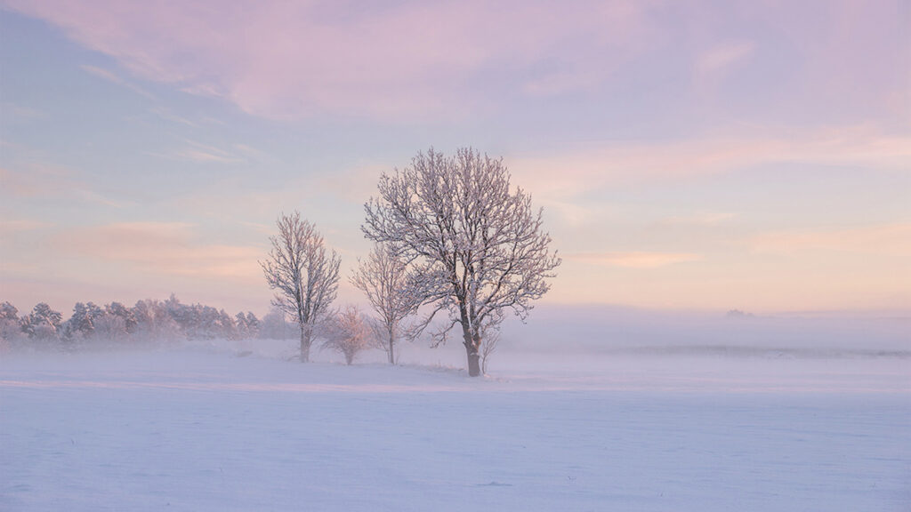 Capturing winter landscapes in dreamy pastel hues