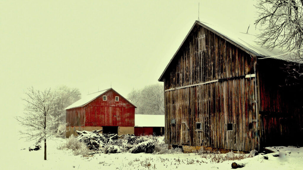 Shutter Notes: Mark Demmin, Sr. — Winter Farm