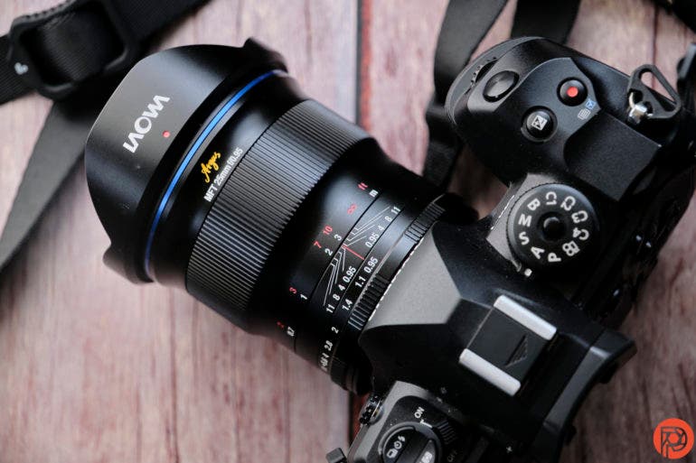 The Best Micro Four Thirds Lenses for Low Light Photography