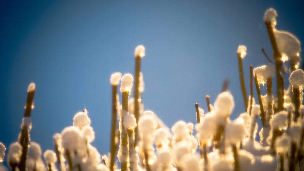 Creating out of the box snow photos Photofocus Photo