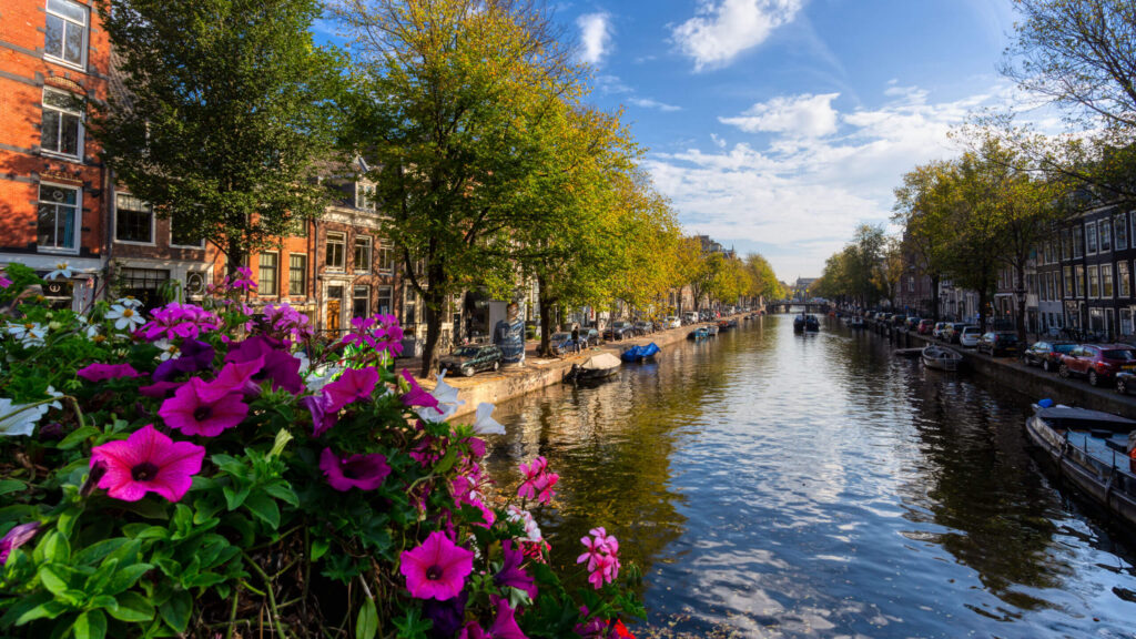 Travel Notes: Amsterdam & surrounding areas