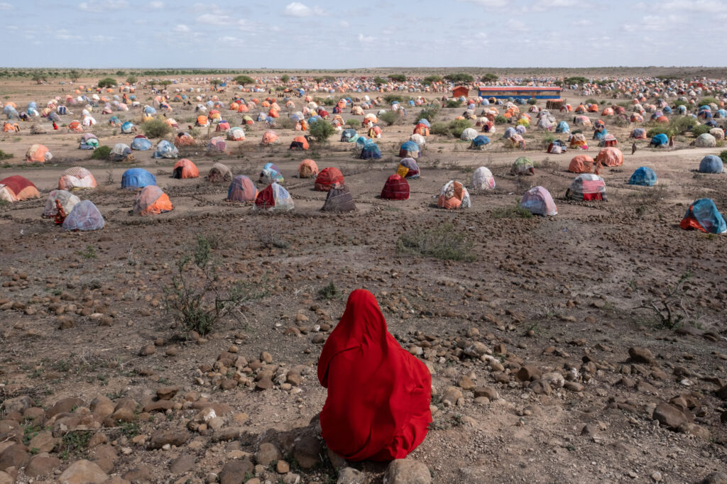 The Gear Used by World Press Photo 2023 Regional Winners