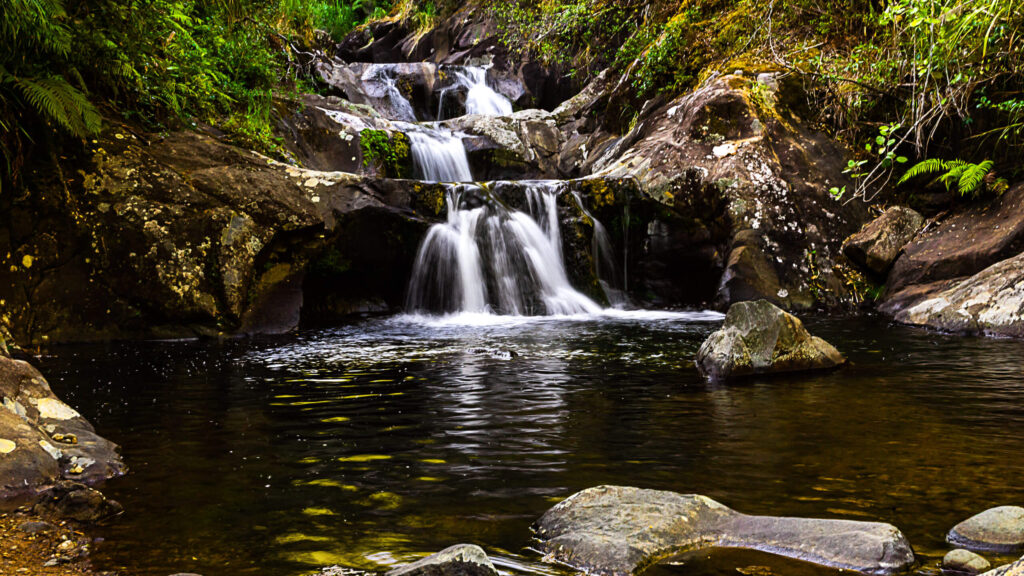 Discovering gardens and hidden gems in Rapaura Falls