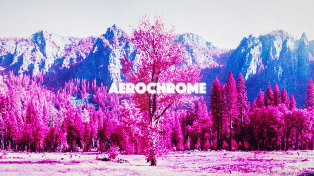 Capturing Yosemite with the iconic Kodak Aerochrome film