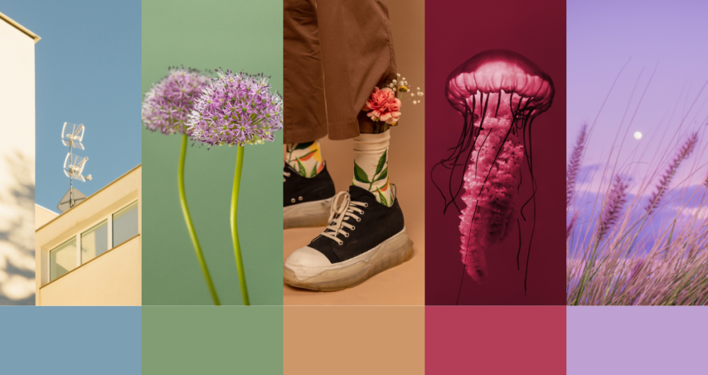 5 Spring Color Palettes That Will Brighten Your Designs