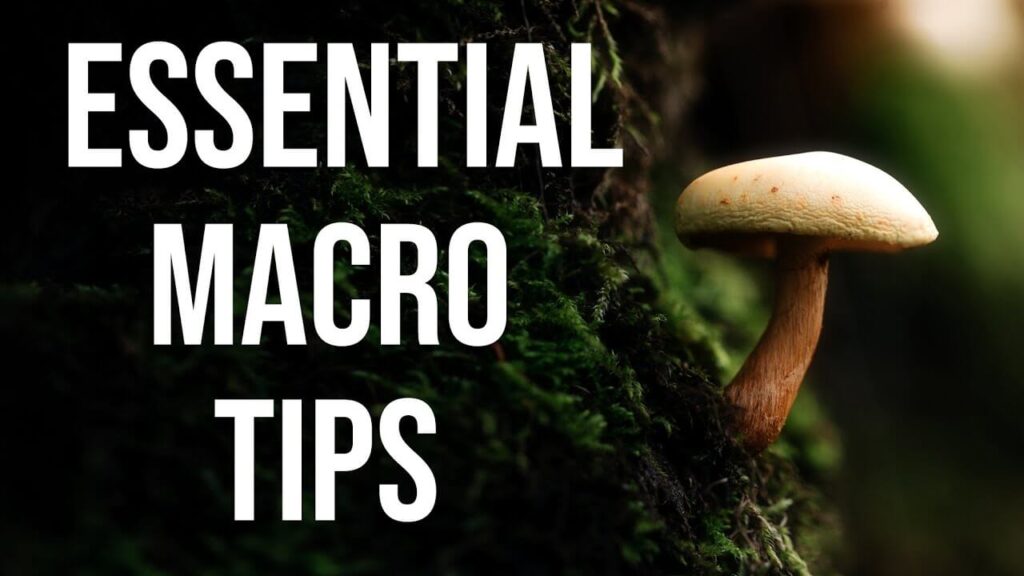 What essential macro tips do you wish you’ve known sooner?