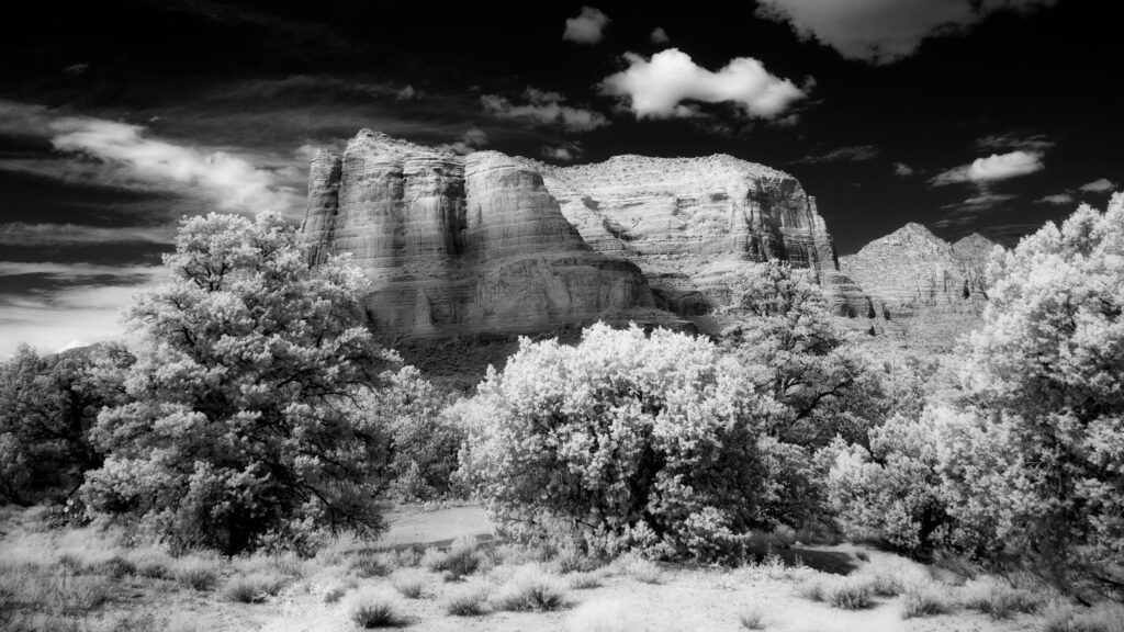 Jumpstart your infrared photography with these tutorials –