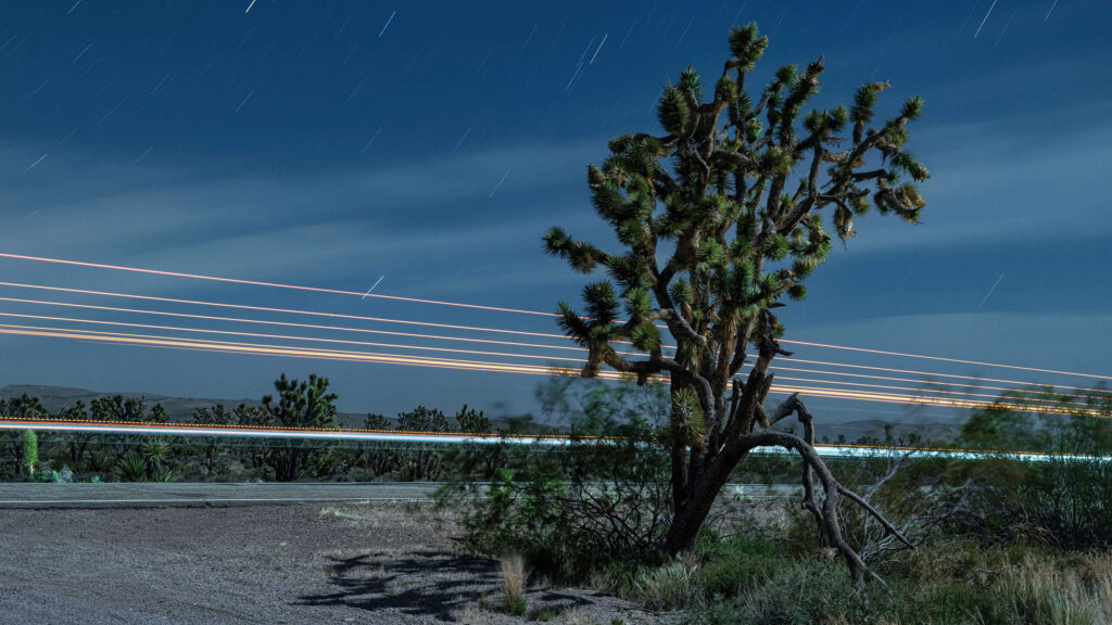 How to photograph a Joshua Tree and light streaks