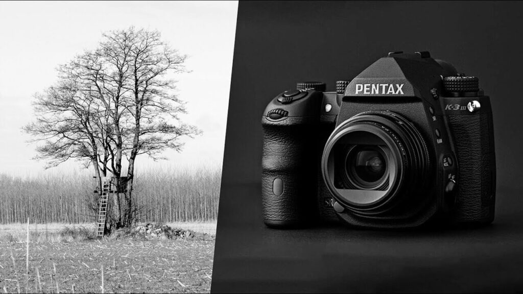 First thoughts on the Pentax K-3 III Monochrome