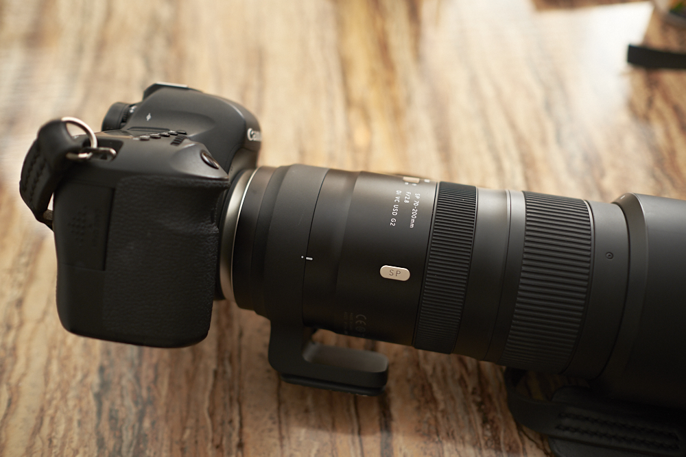 You Should Adapt This Lens to Your Mirrorless Camera