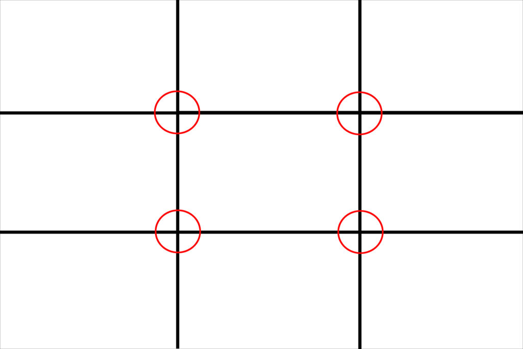 The Most Important Autofocus Points on Any Camera