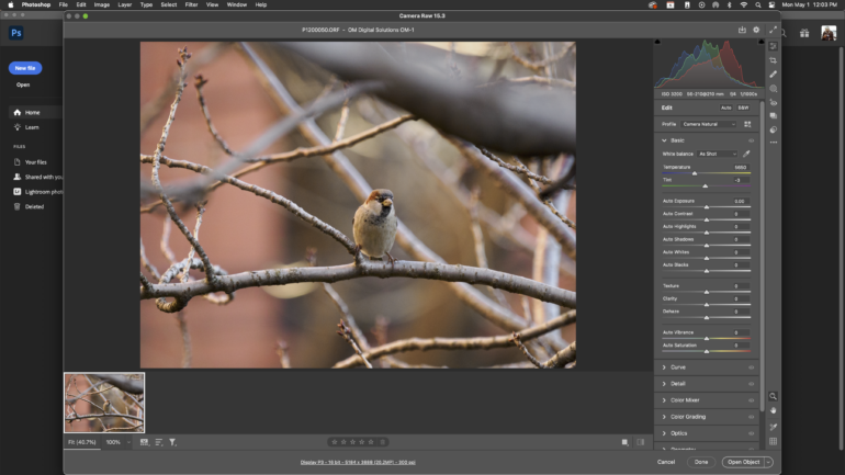 Adobe Camera Raw Review: A Major Improvement