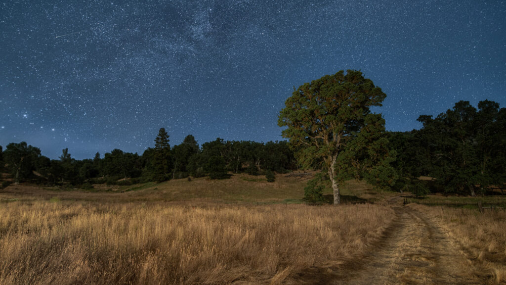 How does Aurora HDR do with a starry night sky?