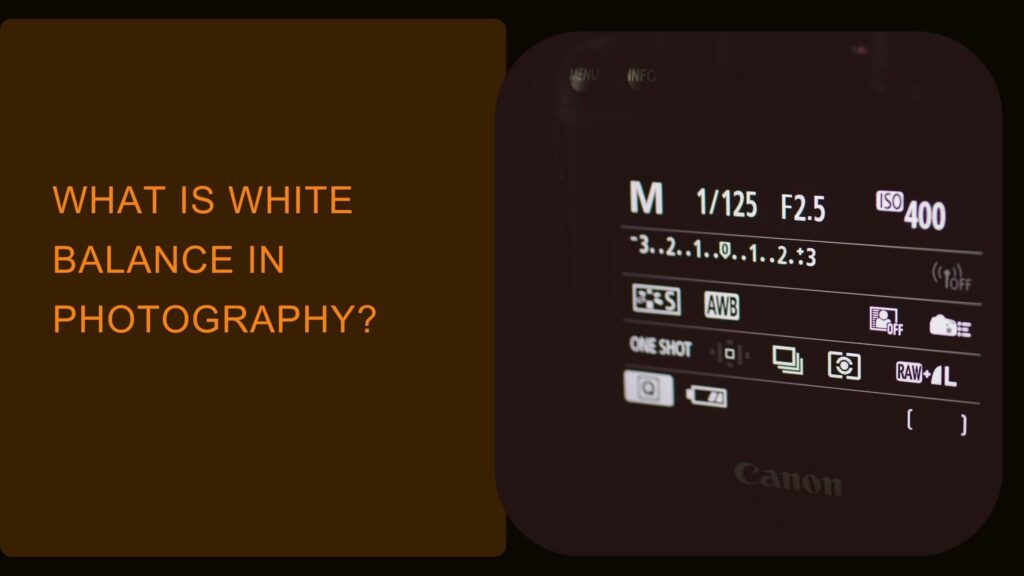 What is white balance in photography?